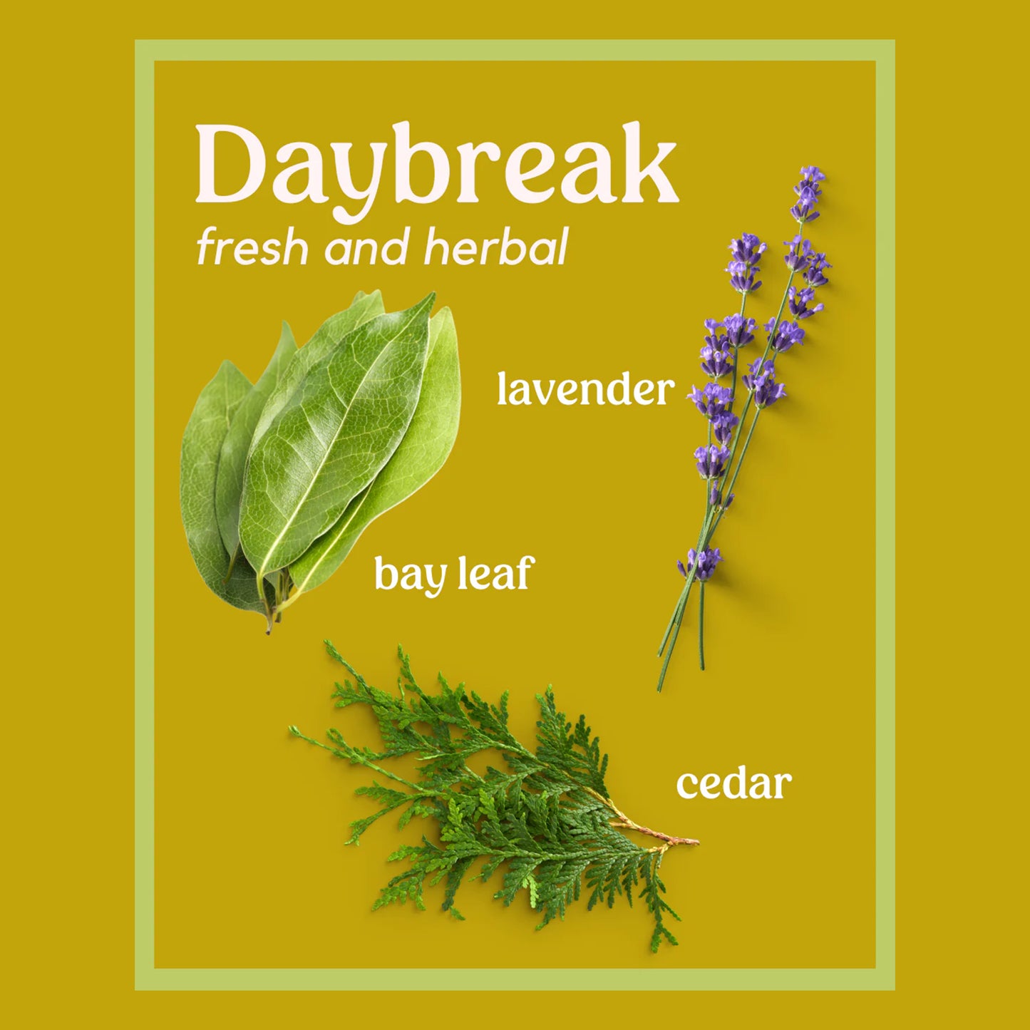 Daybreak Candle