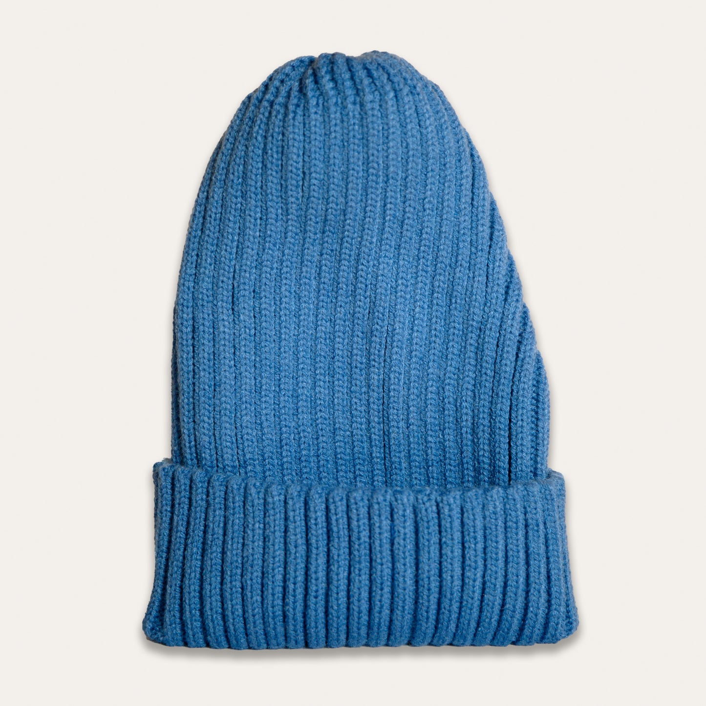 Little Mushroom Kids Beanie (Blue)