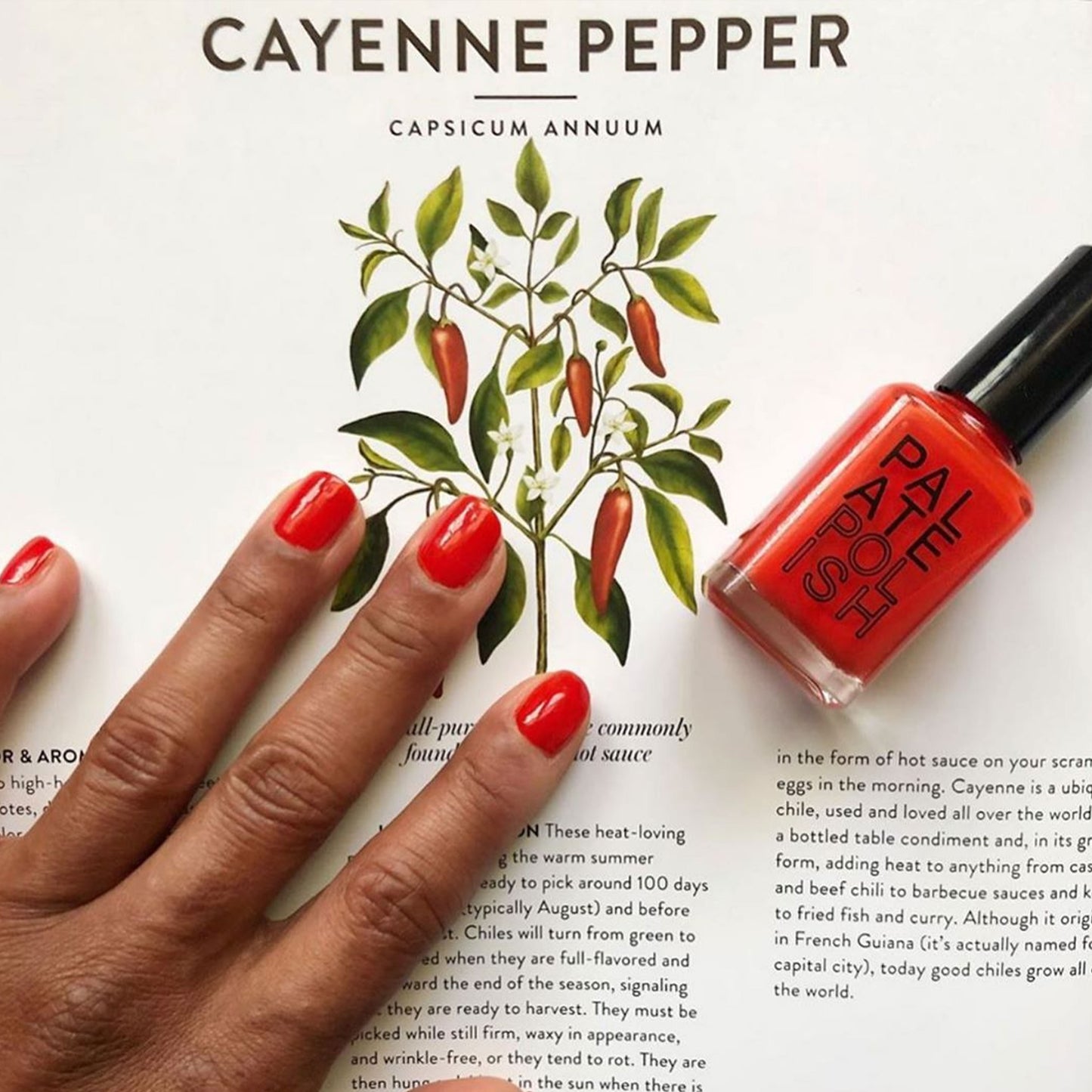 Cayenne Nail Polish