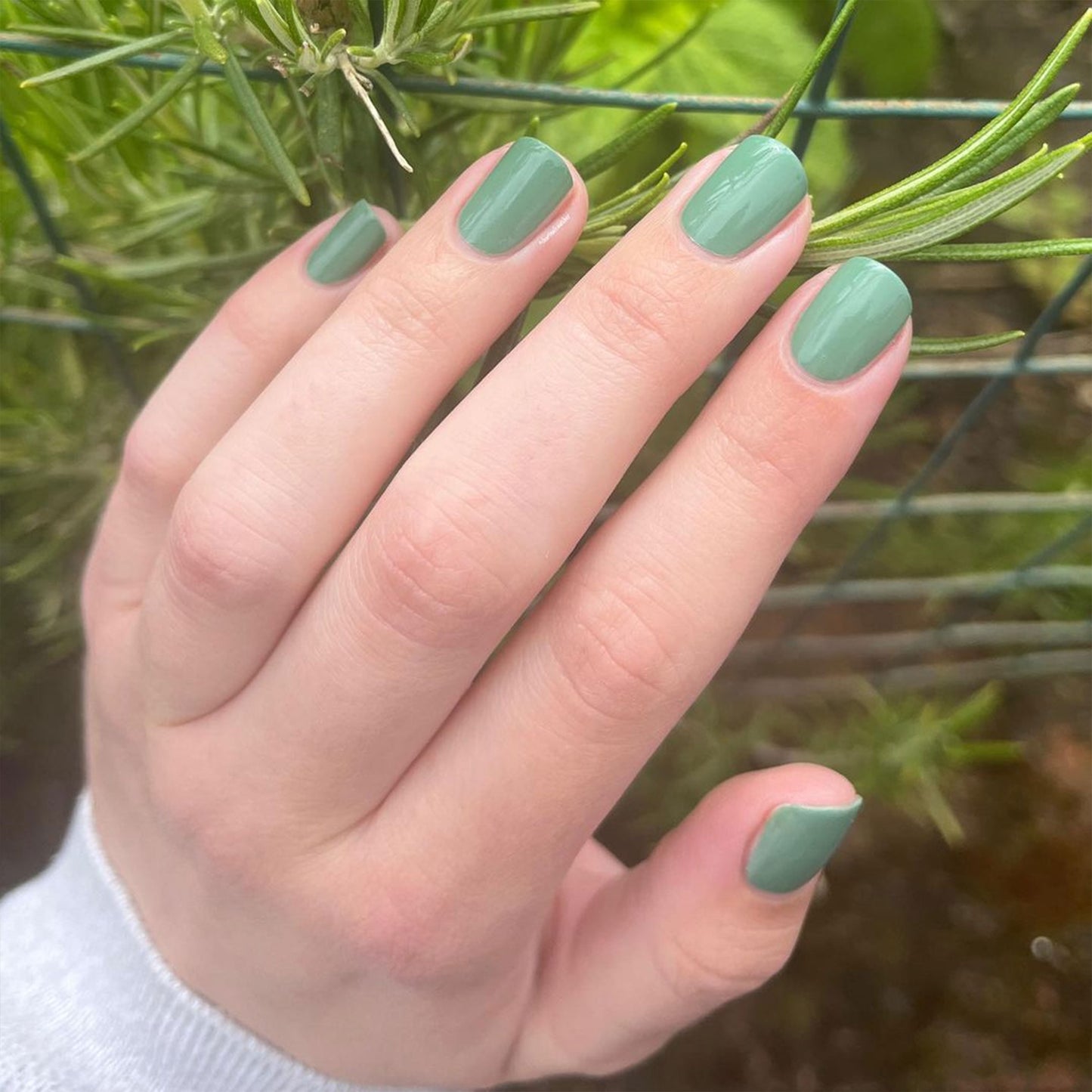 Rosemary Nail Polish