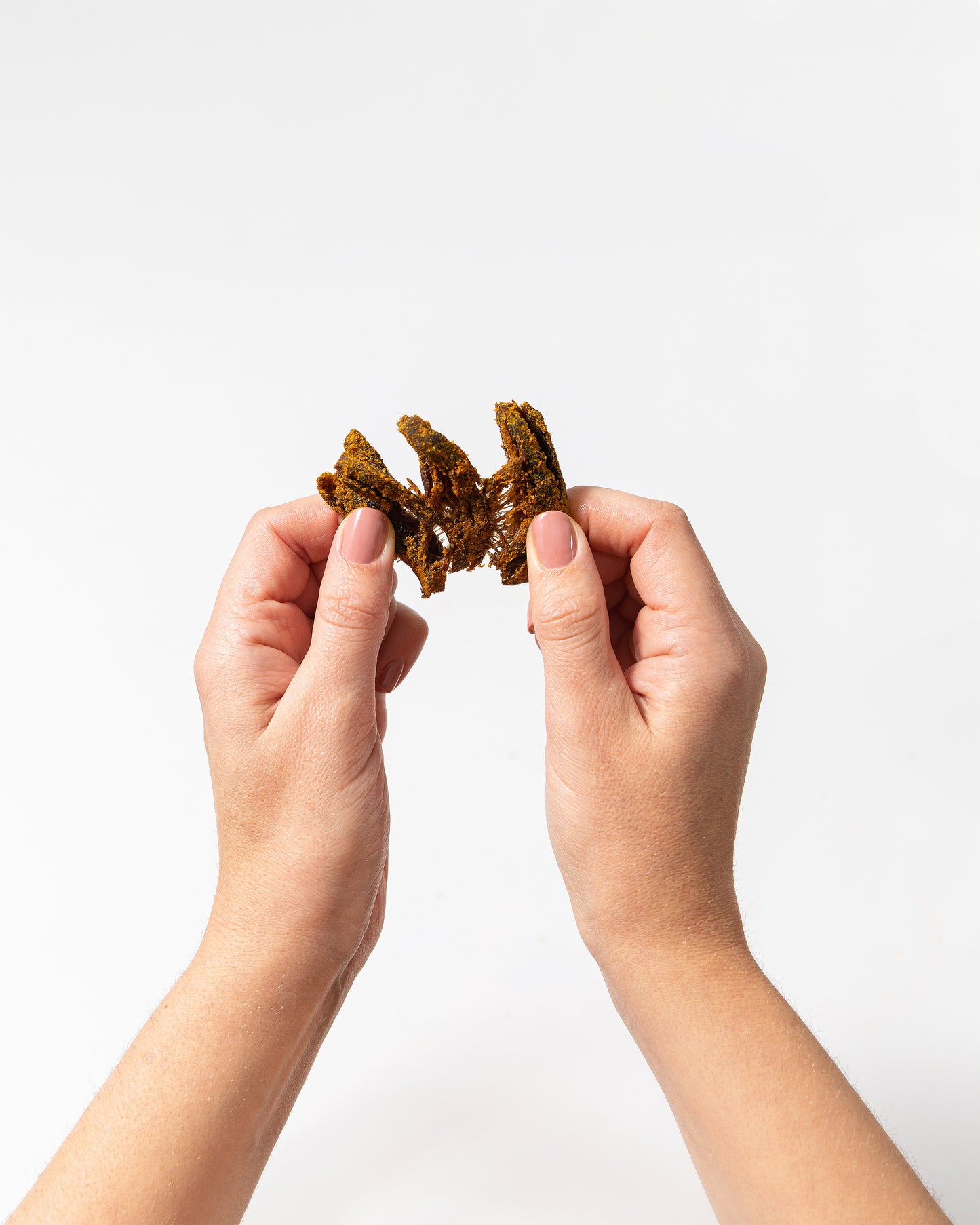Pan's Mushroom Jerky