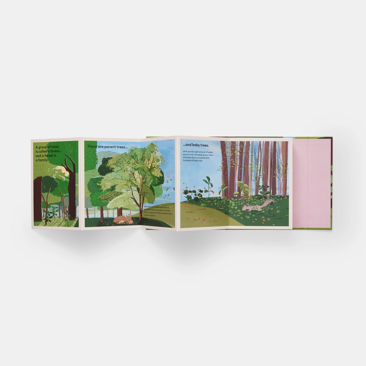 A Family of Trees: My First Book of Forests