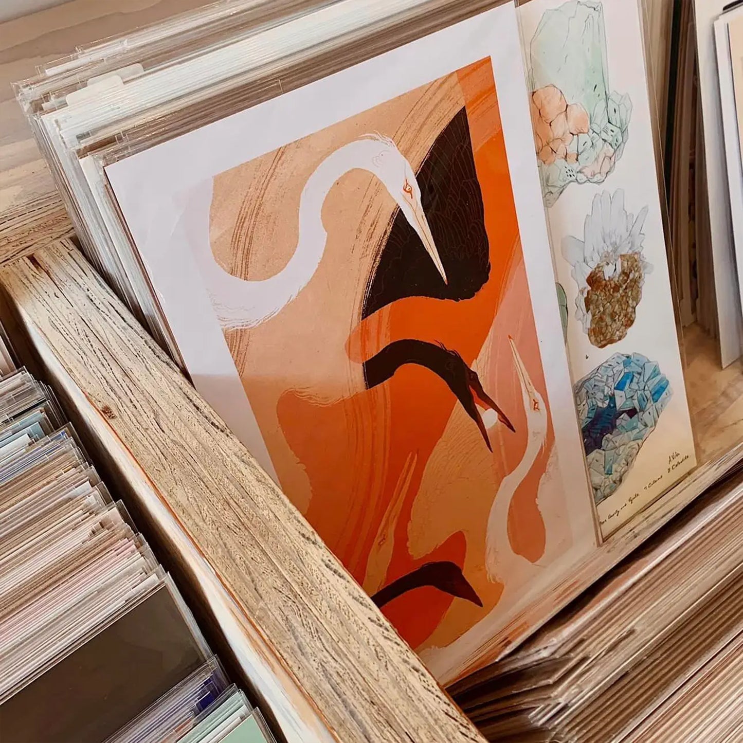 Samantha Mash: Spark Print