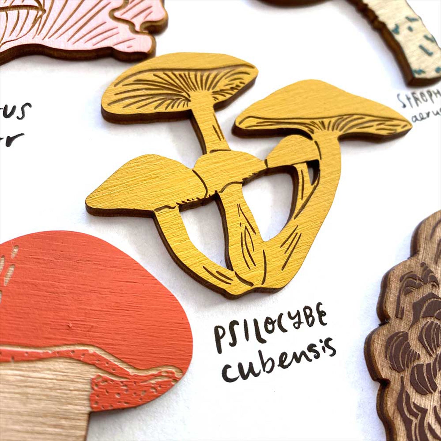 Magnet Set - More Mushrooms