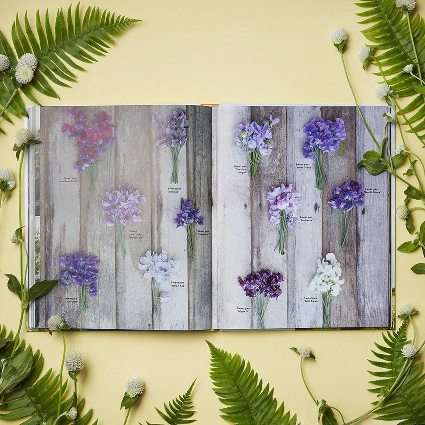 Floret Farm's A Year in Flowers