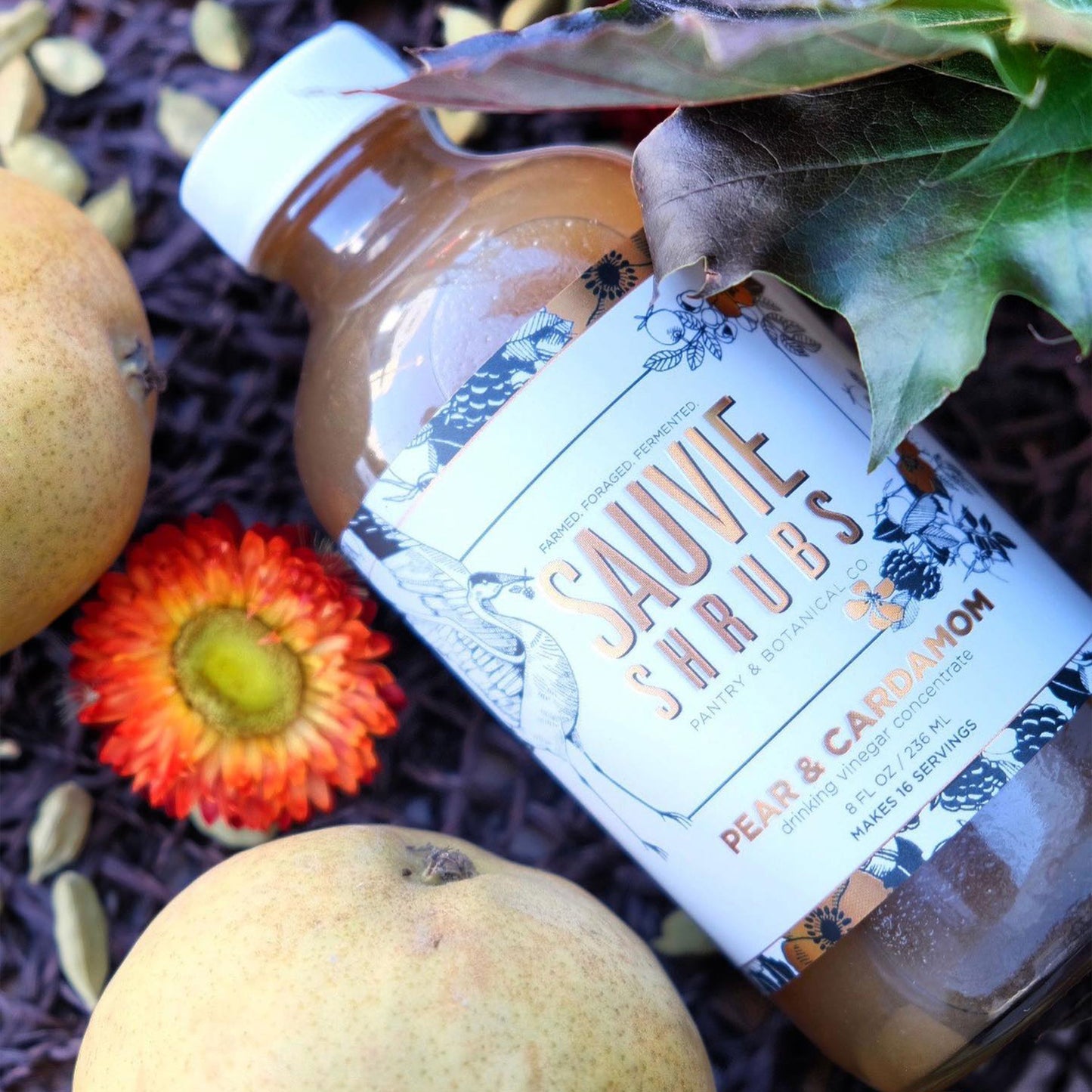 Sauvie Shrubs 2oz
