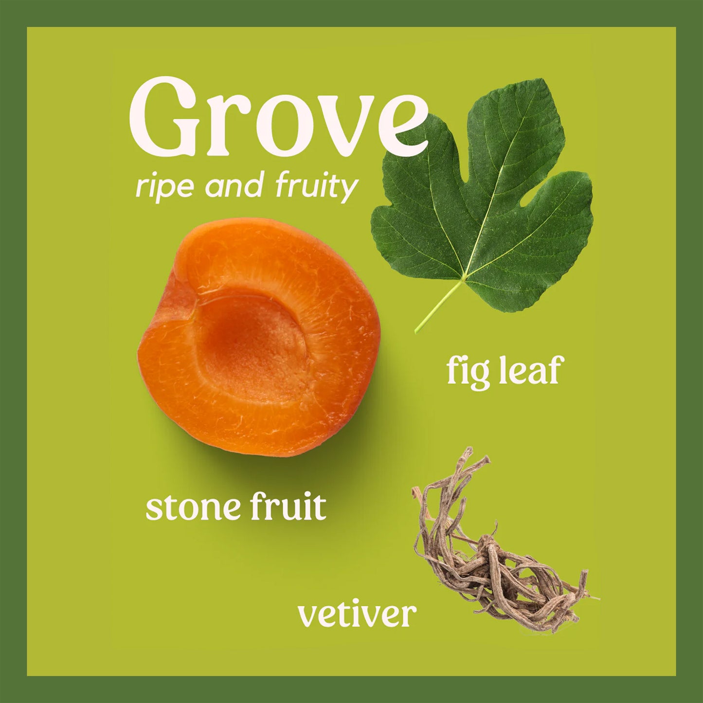 Grove Perfume Oil