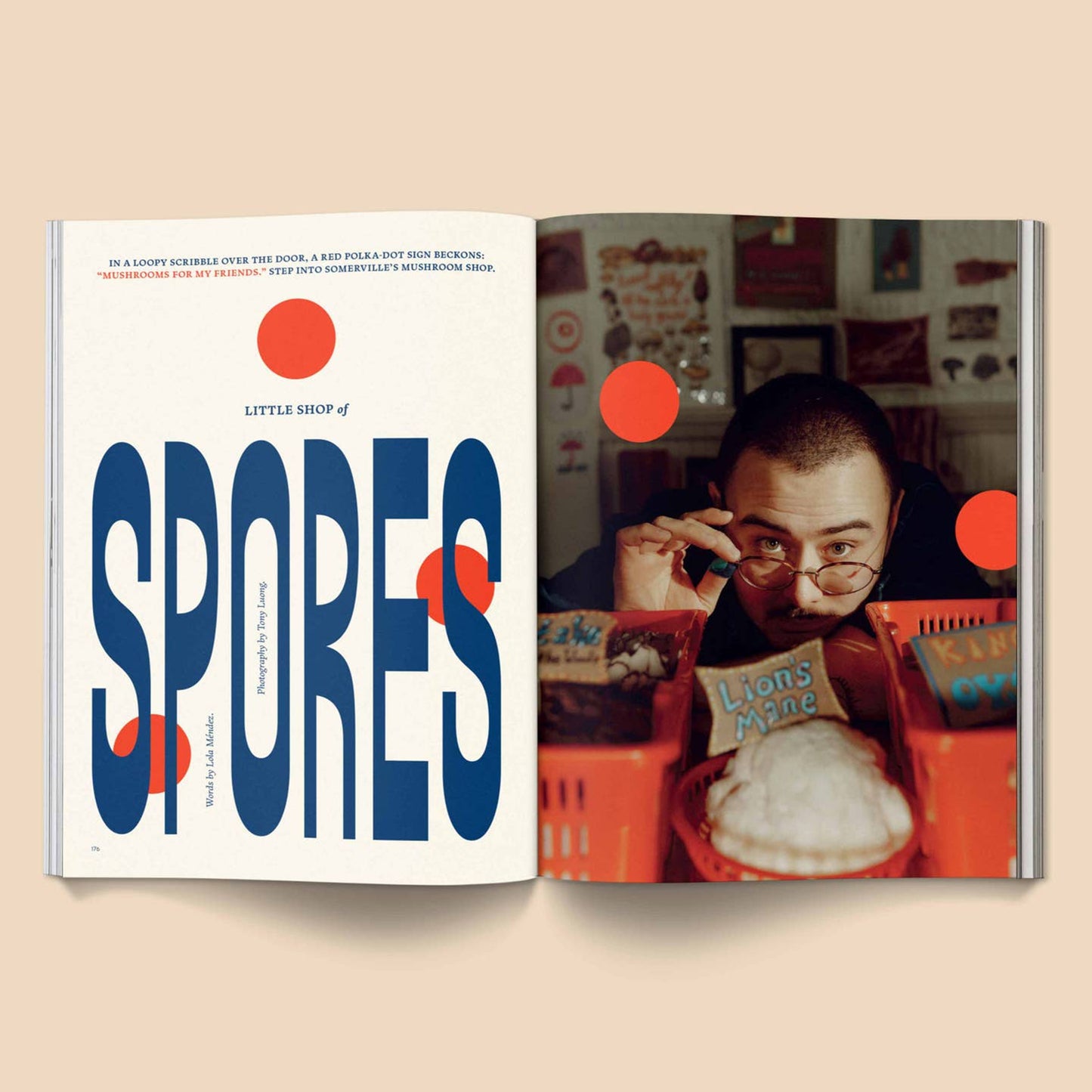 Mushroom People Magazine, Vol 2