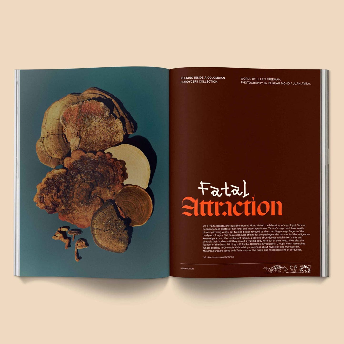 Mushroom People Magazine, Vol 2