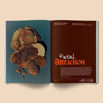 Mushroom People Magazine, Vol 2