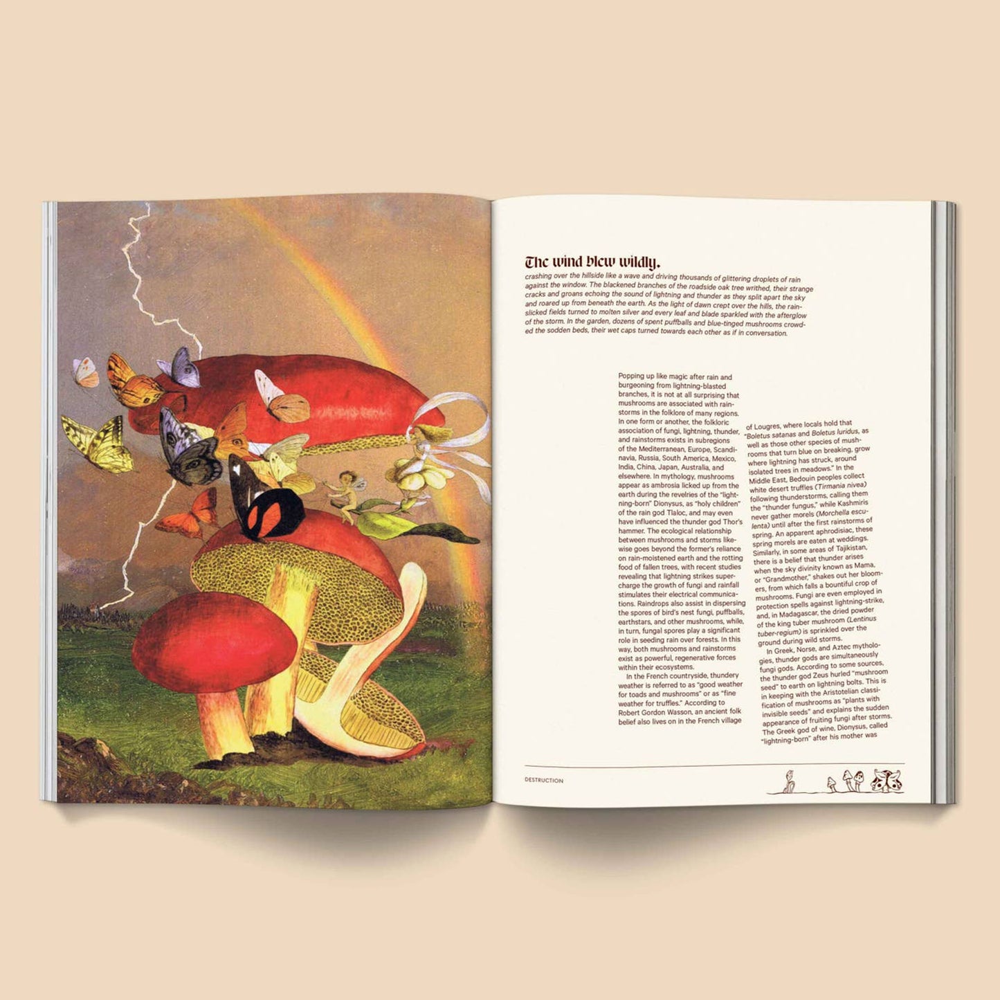 Mushroom People Magazine, Vol 2