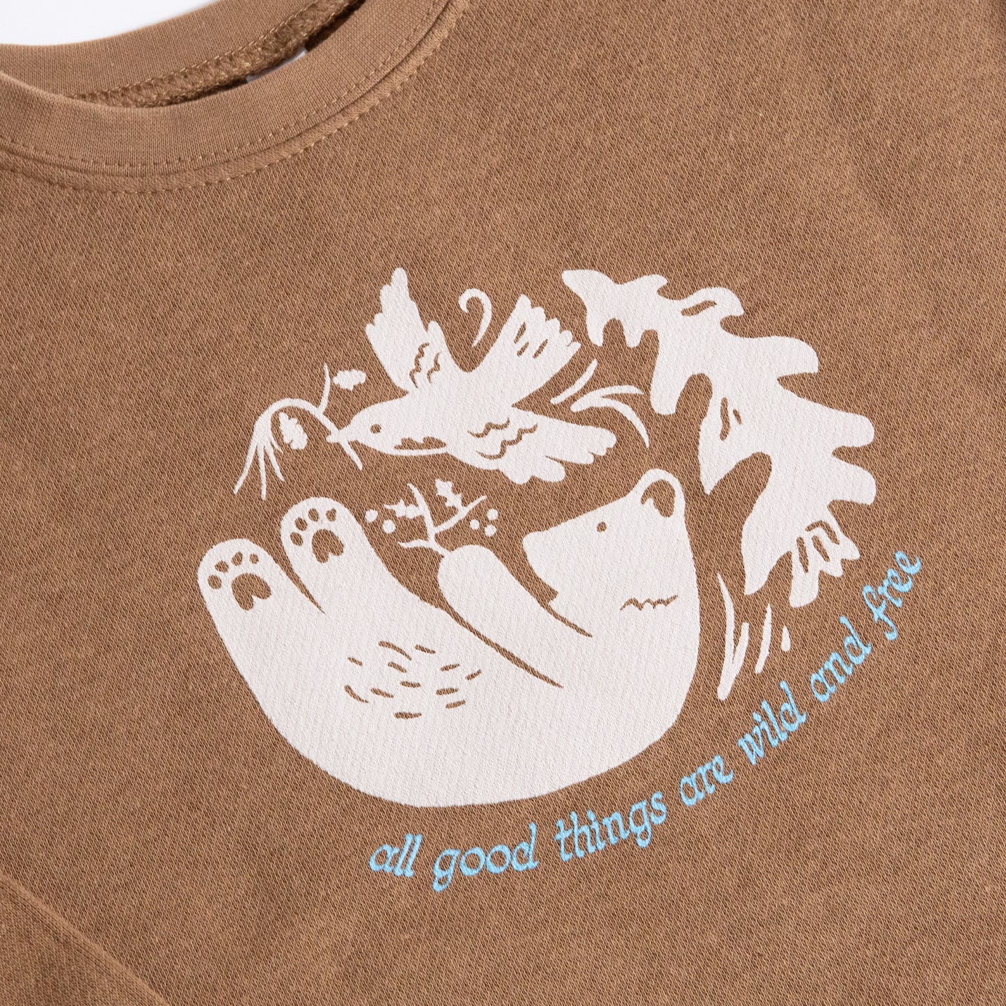 Wild and Free Kids Sweatshirt (Brown)