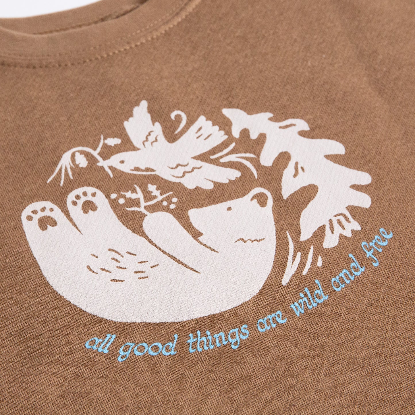 Wild and Free Kids Sweatshirt (Brown)