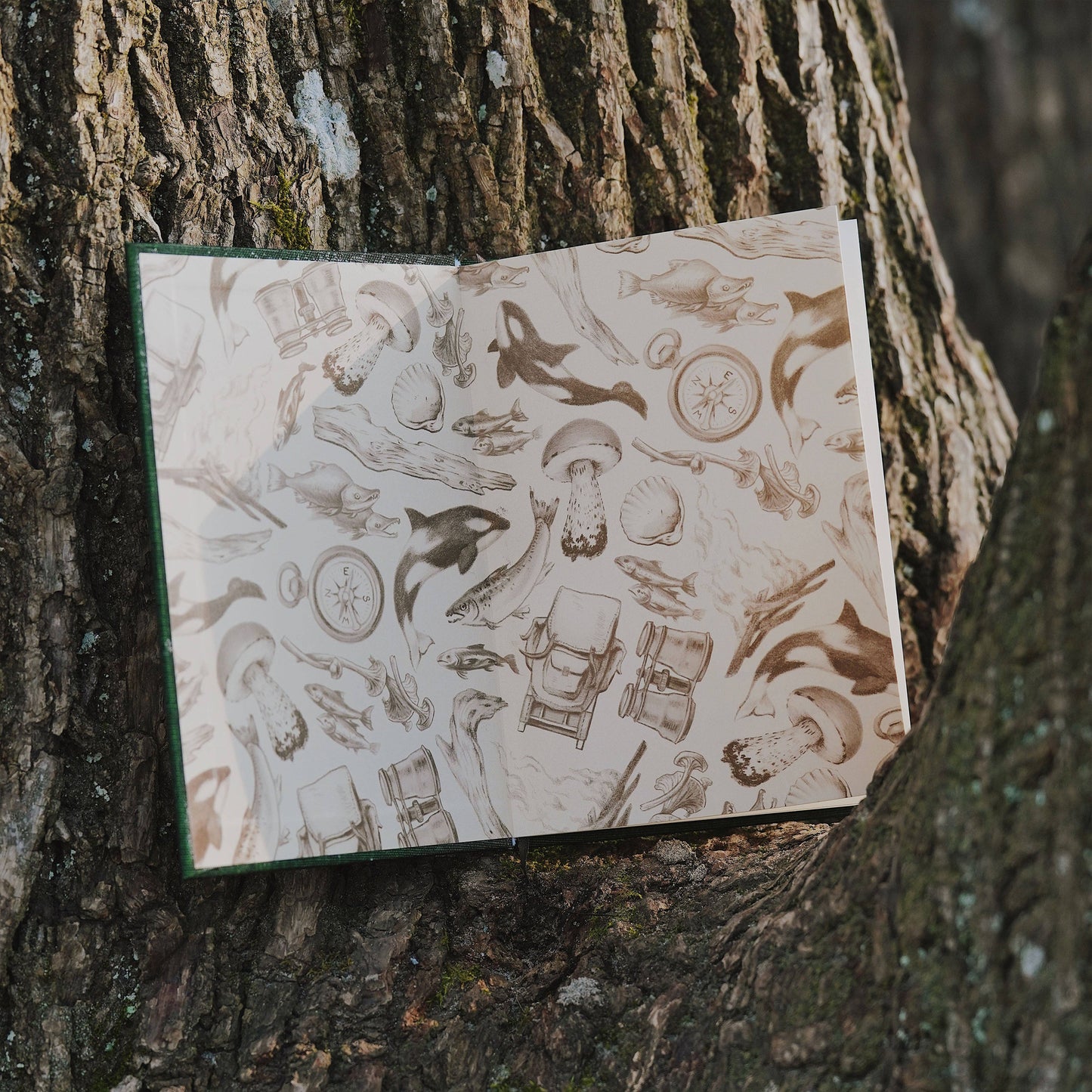 PNW: Card Games Inspired By the Pacific Northwest