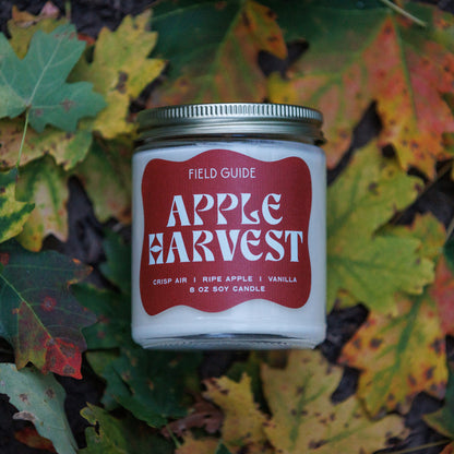 Apple Harvest Holiday Candle