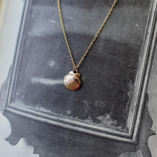 Shell Necklace