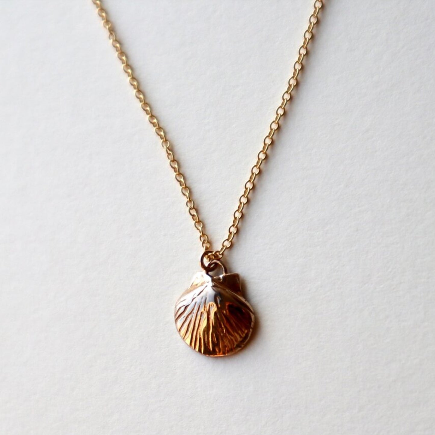 Shell Necklace