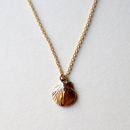 Shell Necklace