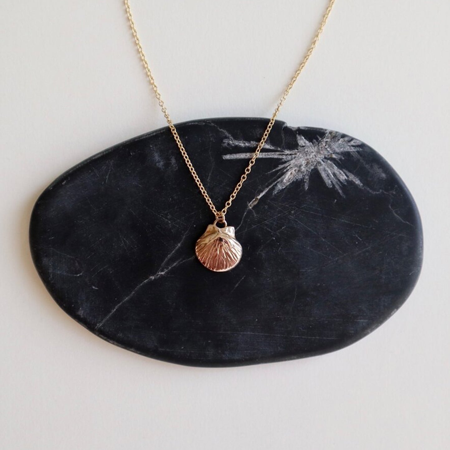 Shell Necklace