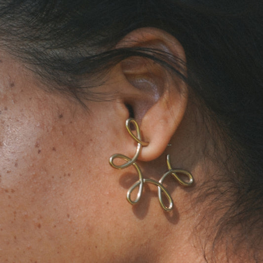 Carousel Hoops