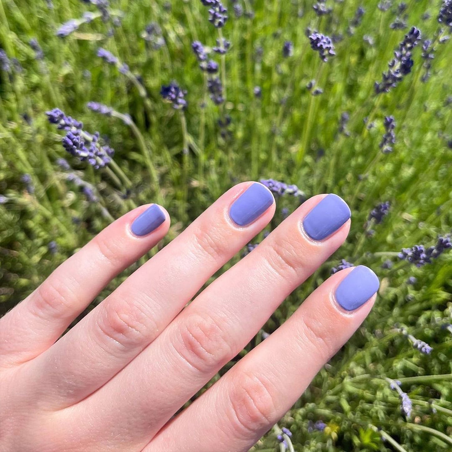 Lavender Macaron Polish