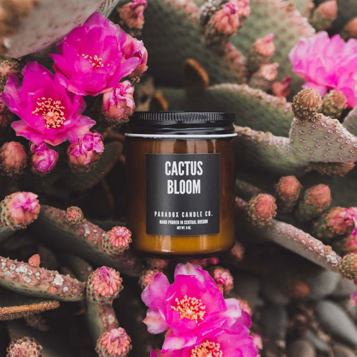 Cactus Bloom Soy Candle 8oz