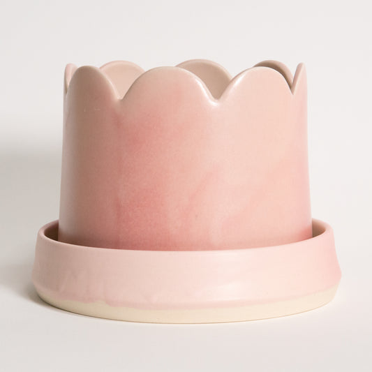 Groove Plant Home in Blush