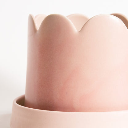 Groove Plant Home in Blush