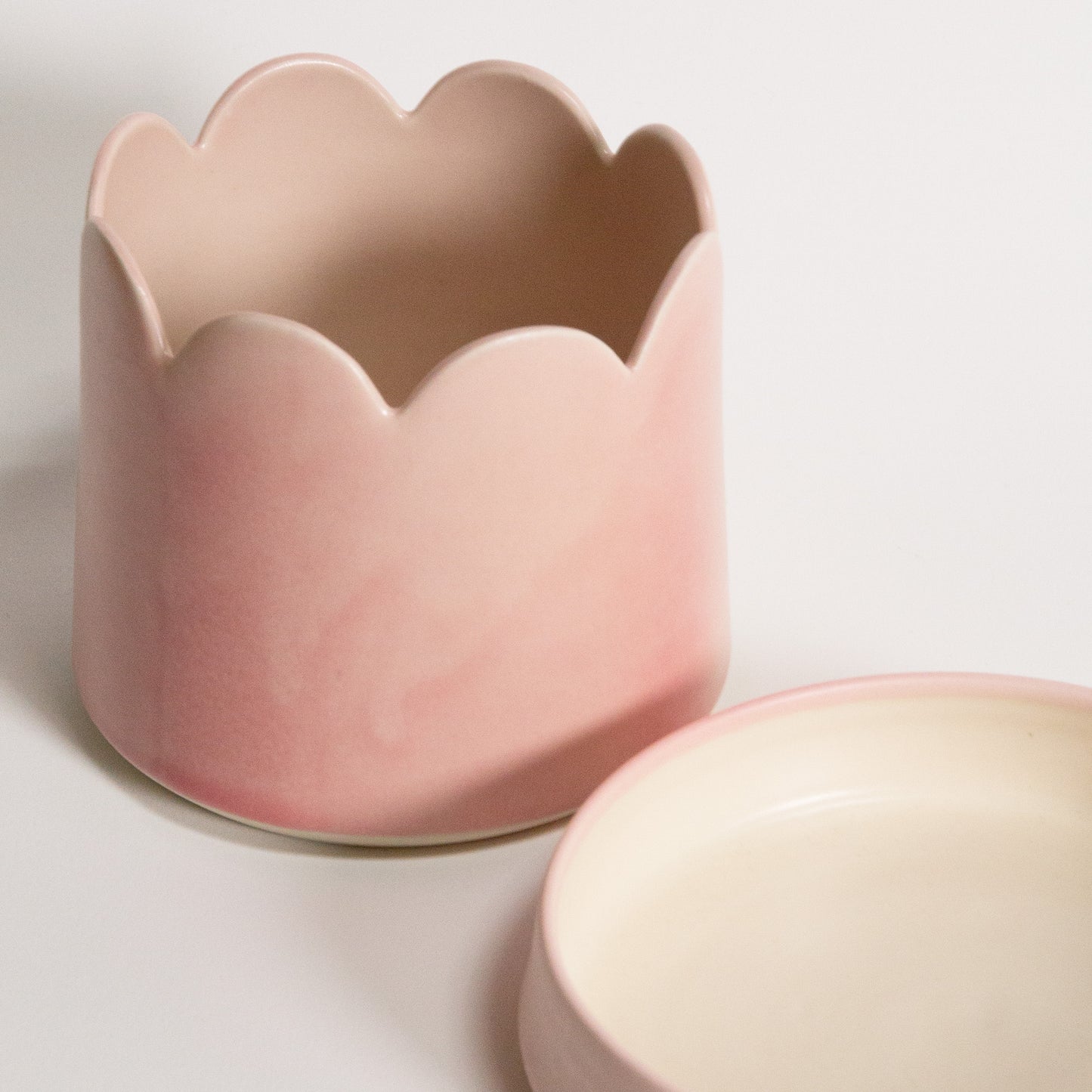 Groove Plant Home in Blush