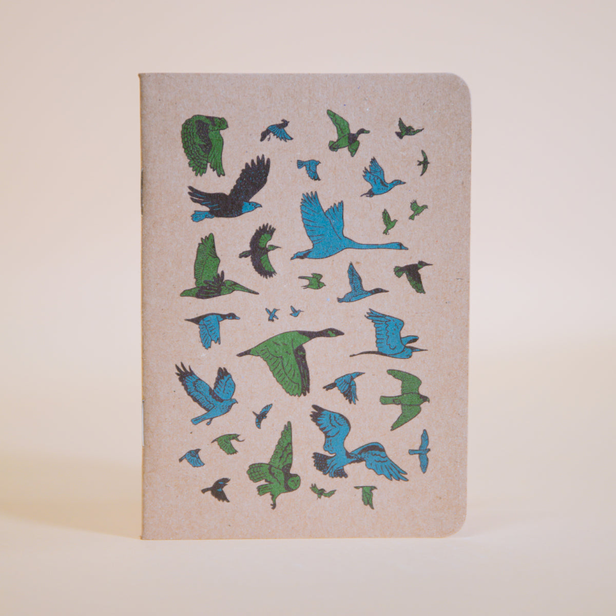 PNW Birds Journal