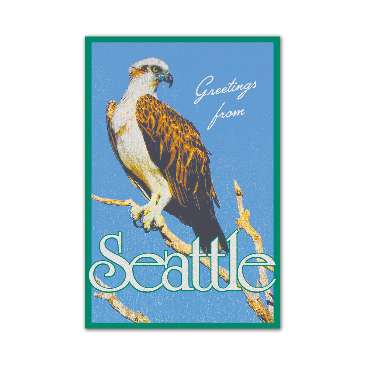 Seattle Perched Osprey Postcard