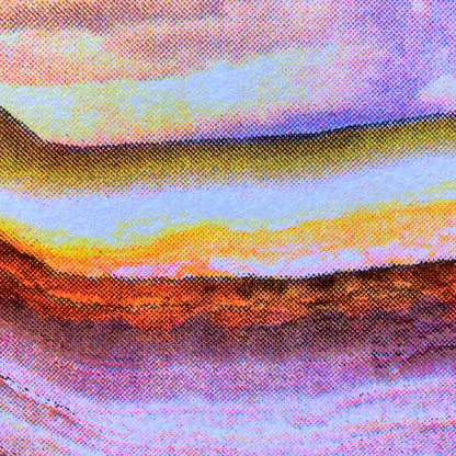 Tiny Pink Shoe: Butterfly Turkeytail Riso Print