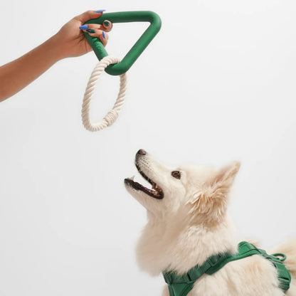 Triangle Tug Toy