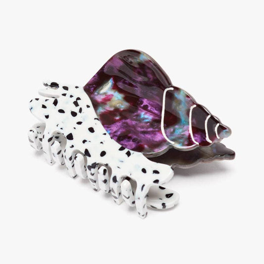 Spotted Whelk Sea Snail Claw