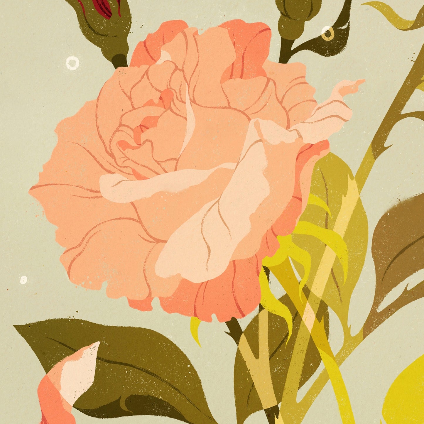 Samantha Mash: Hybrid Tea Rose Print