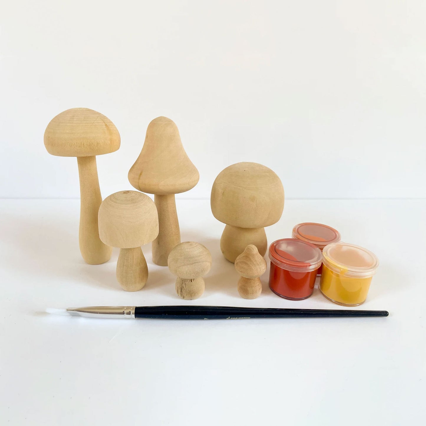 DIY Mushroom Painting Kit (10+ Yrs)