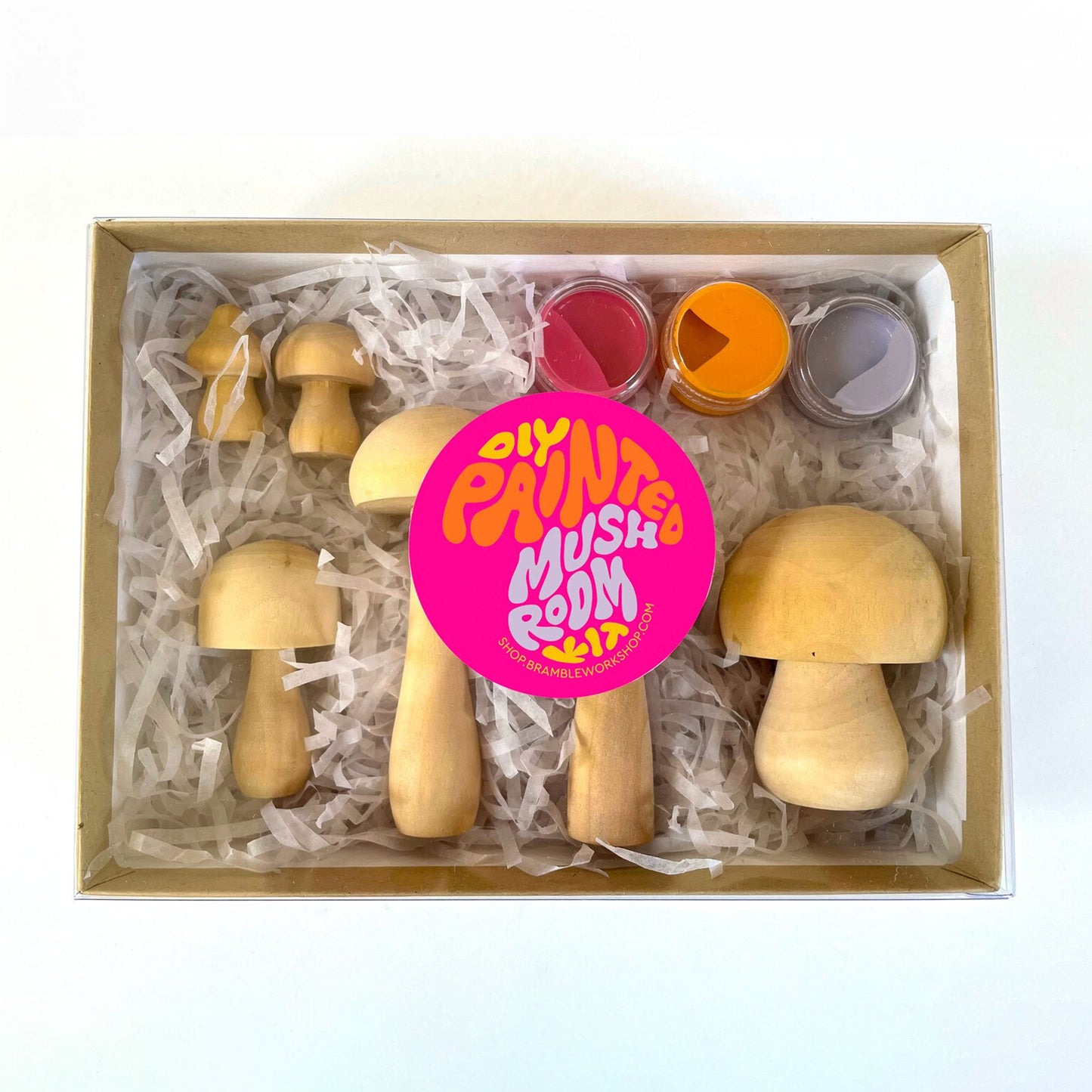 DIY Mushroom Painting Kit (10+ Yrs)