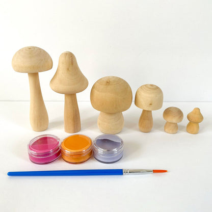 DIY Mushroom Painting Kit (10+ Yrs)