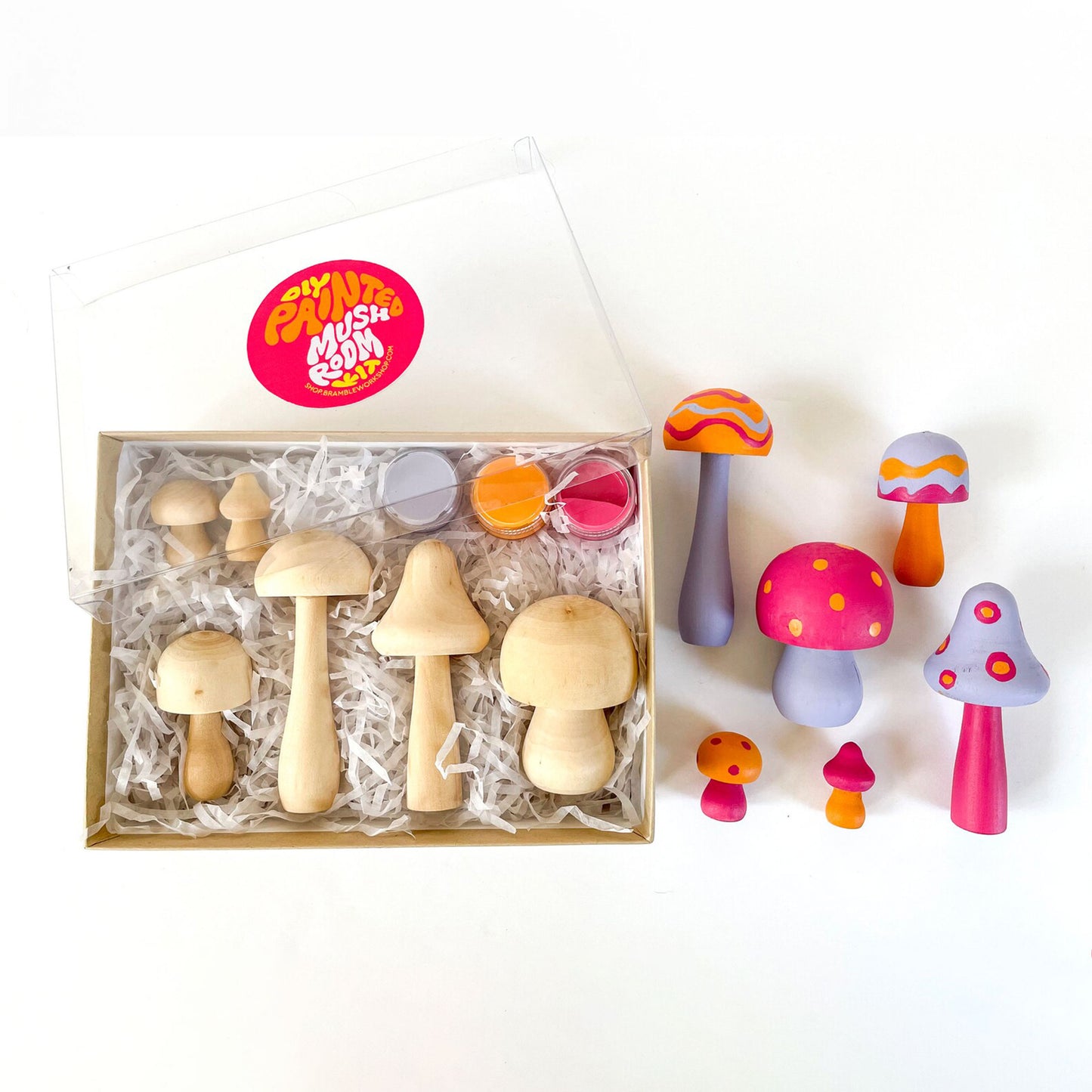 DIY Mushroom Painting Kit (10+ Yrs)