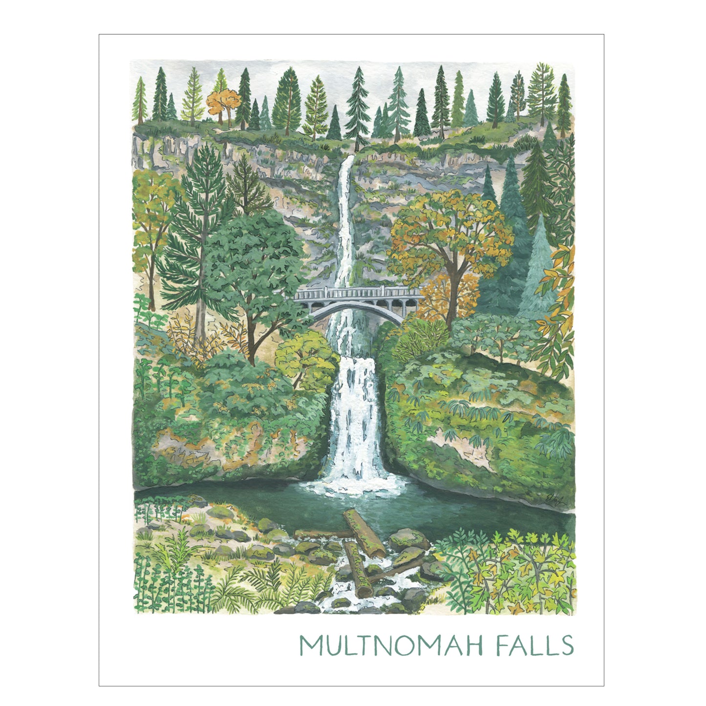 Erin Vaughan Illustration: Multnomah Falls Print