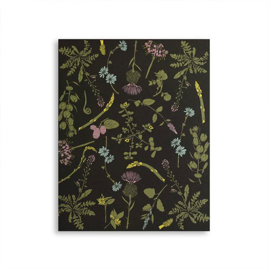 June & December: Edible Wilds Art Print