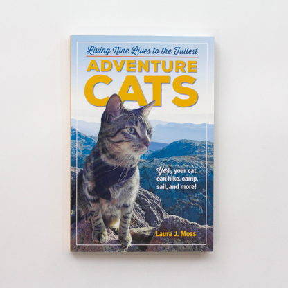 Adventure Cats: Living Nine Lives to the Fullest