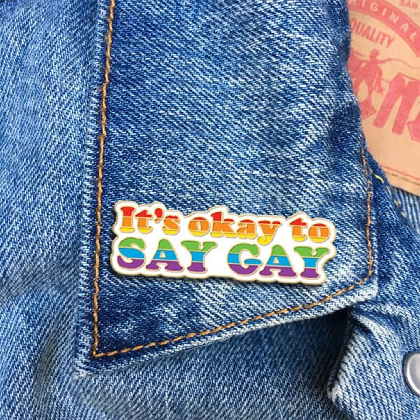 It's Okay to Say Gay Pin