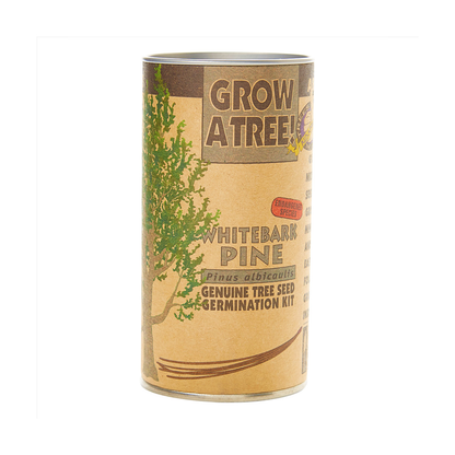 Seed Grow Kit